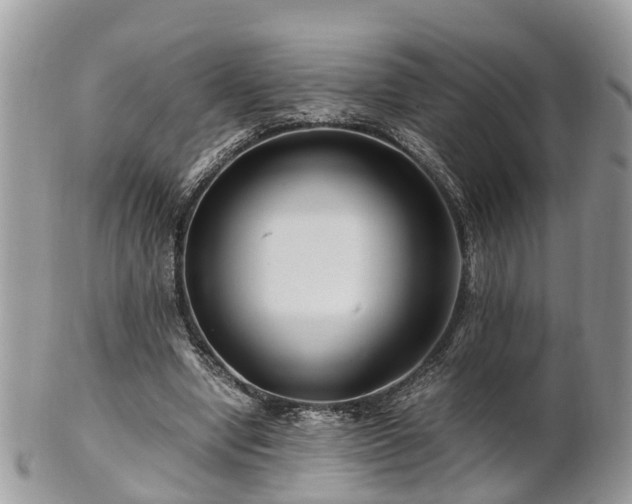 X0000101170442200807071225