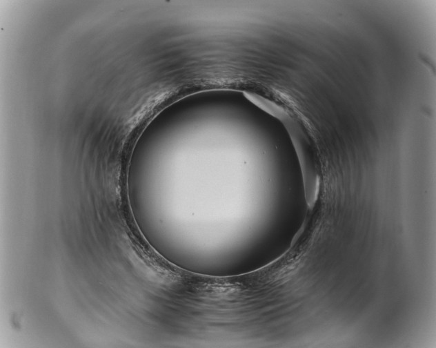 X0000101170443200807071225