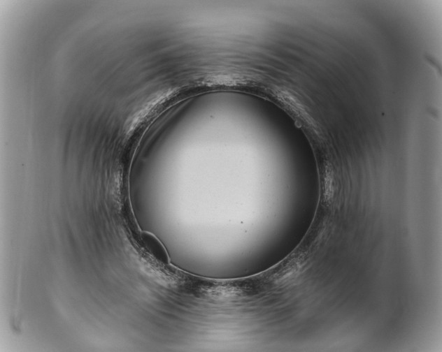 X0000101170444200807071225
