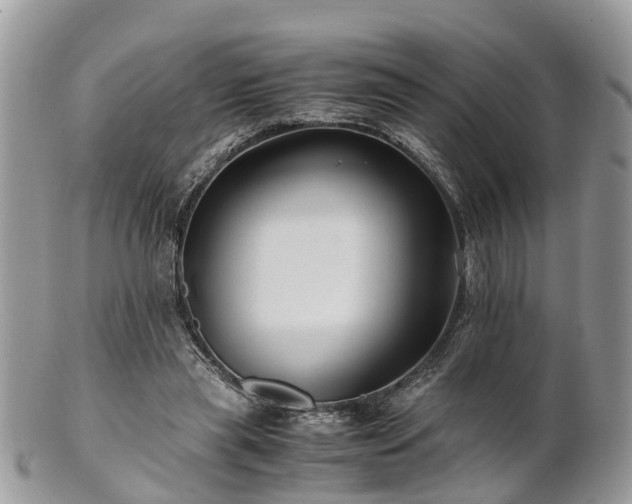 X0000101170445200807071225