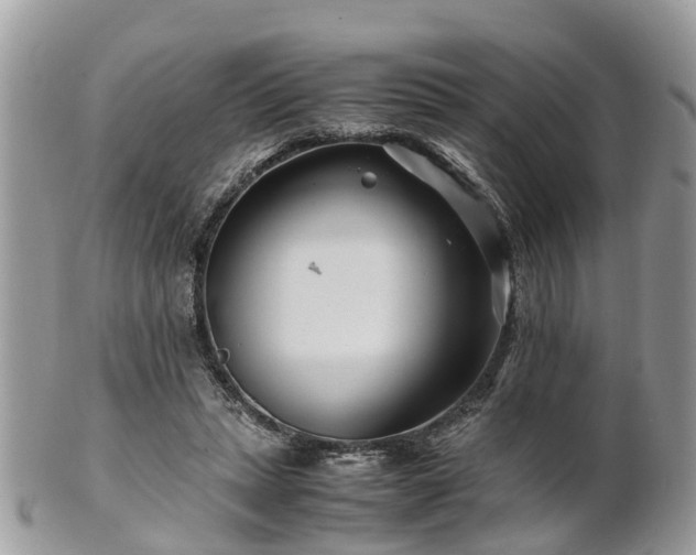 X0000101170447200807071225