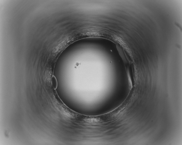 X0000101170449200807071225