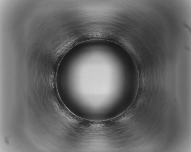 X0000101170450200807071225