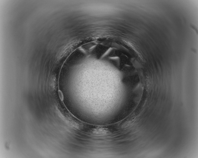 X0000101170451200807071225