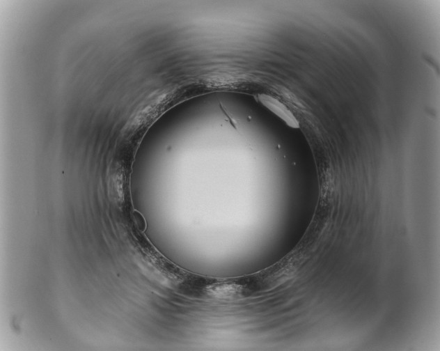 X0000101170452200807071225