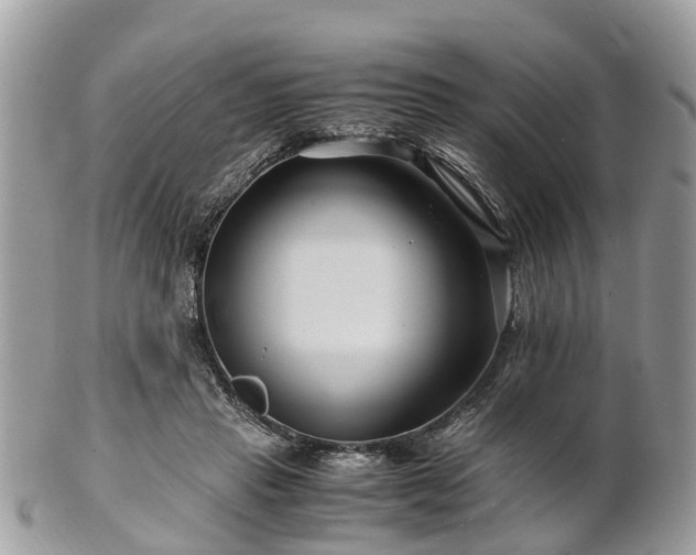X0000101170453200807071225