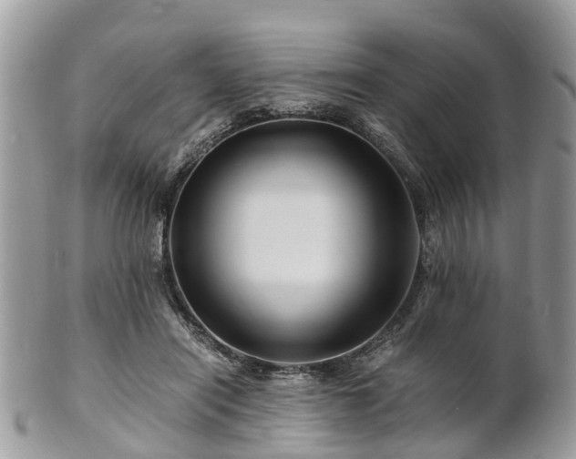 X0000101170454200807071225