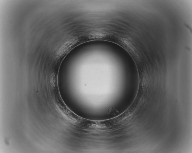 X0000101170455200807071225