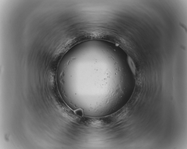 X0000101170456200807071225