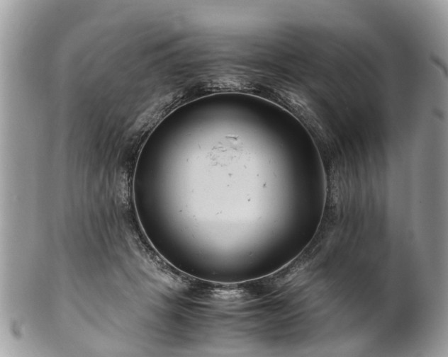 X0000101170457200807071225