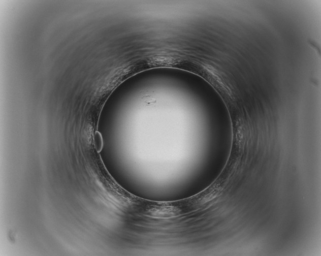 X0000101170459200807071225