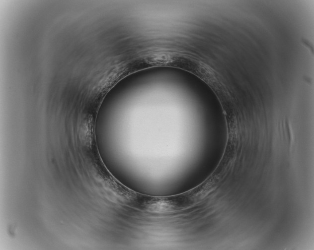 X0000101170460200807071225