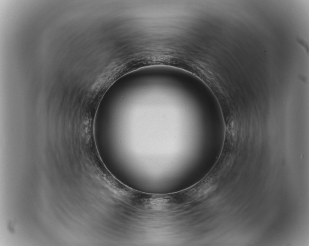 X0000101170462200807071225