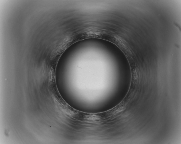 X0000101170463200807071225