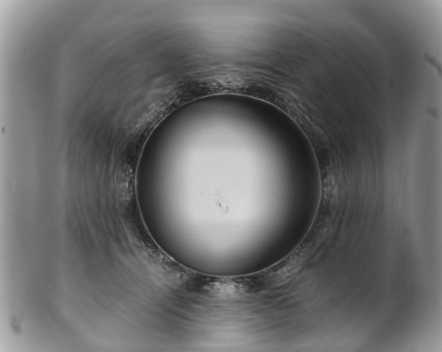 X0000101170464200807071225