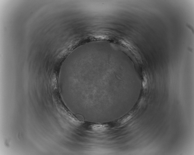 X0000101170465200807071225