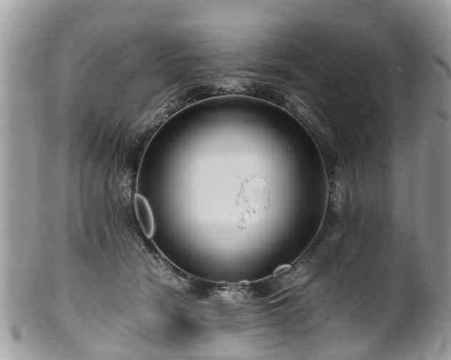X0000101170466200807071225