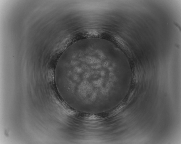 X0000101170467200807071225