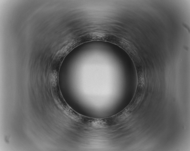 X0000101170468200807071225