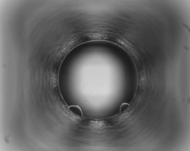 X0000101170469200807071225