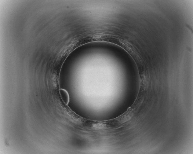 X0000101170470200807071225