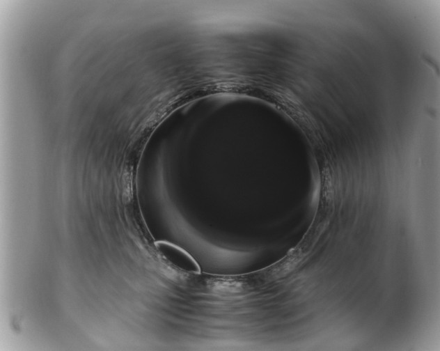X0000101170471200807071225
