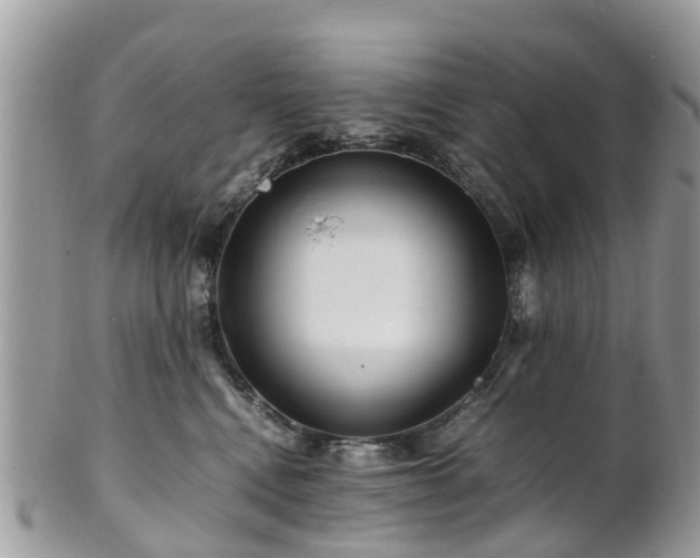X0000101170472200807071225