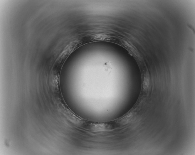 X0000101170473200807071225