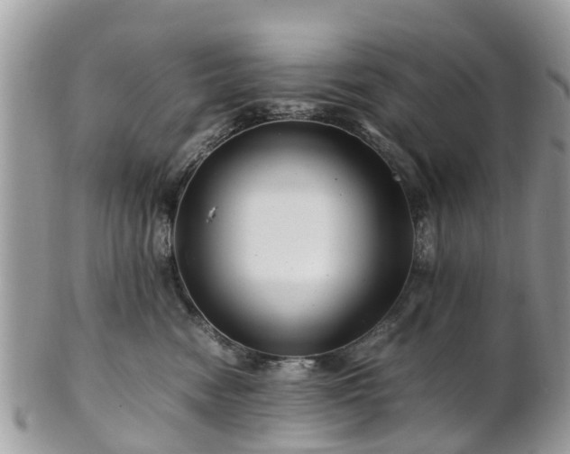 X0000101170474200807071226