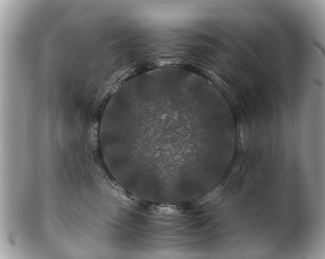 X0000101170475200807071226
