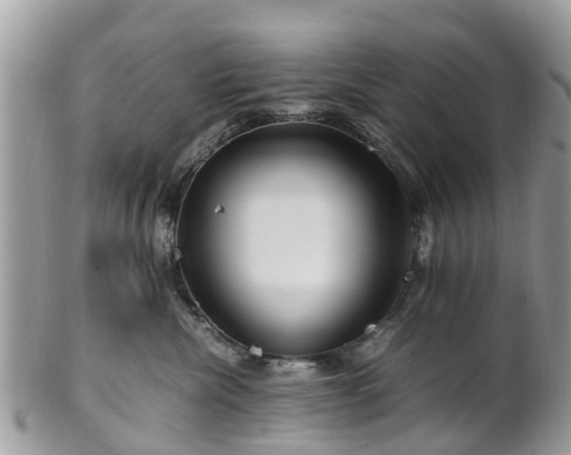 X0000101170476200807071226