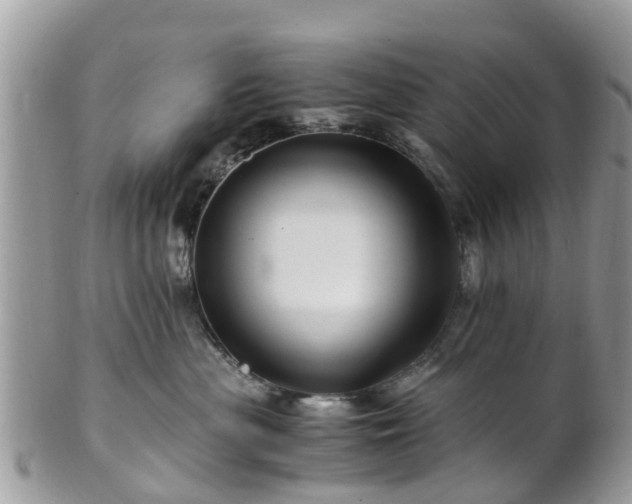 X0000101170477200807071226