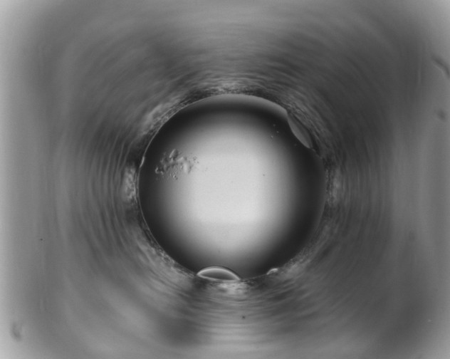 X0000101170478200807071226