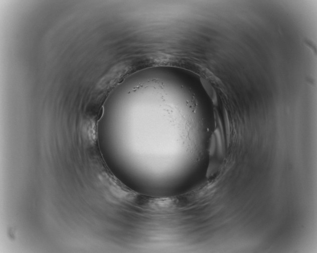 X0000101170479200807071226