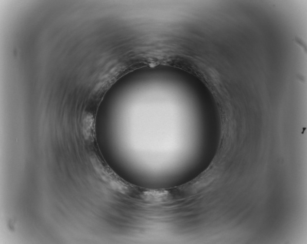 X0000101170480200807071226