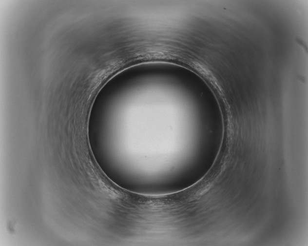 X0000101170481200807071225