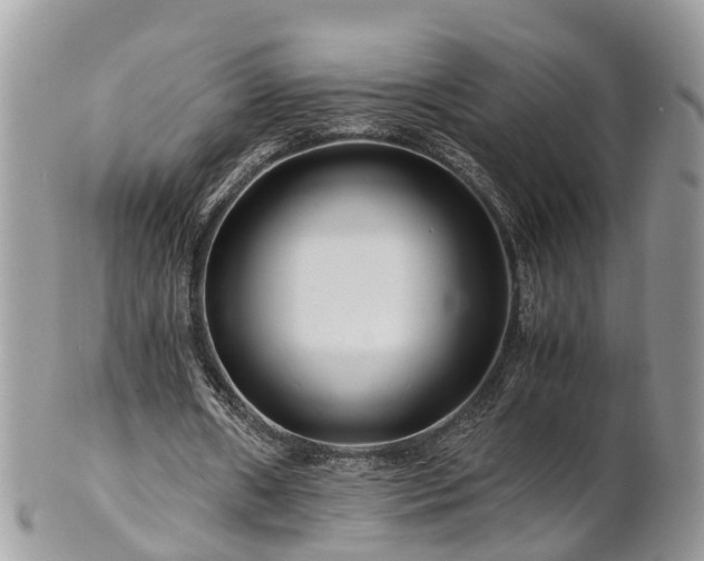 X0000101170482200807071225