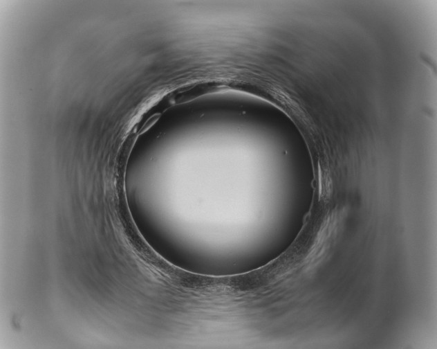 X0000101170483200807071225
