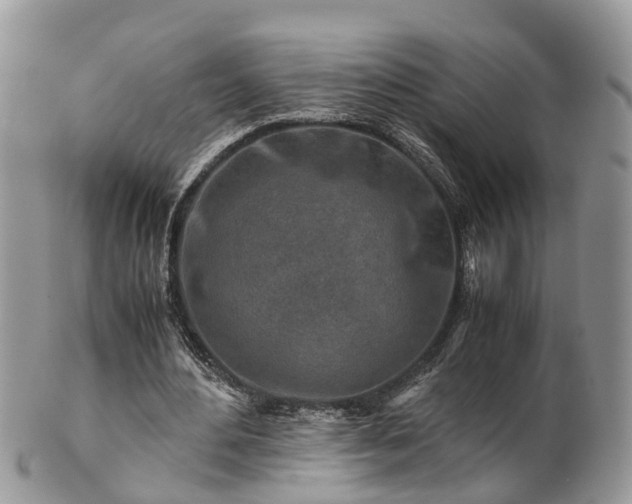 X0000101170484200807071225