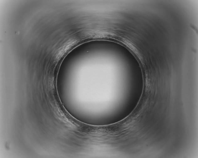 X0000101170485200807071225
