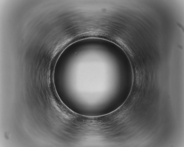 X0000101170486200807071225