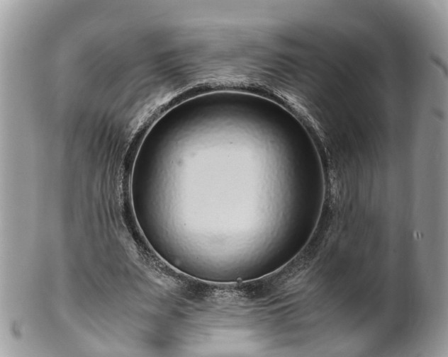 X0000101170487200807071225
