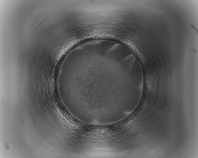 X0000101170488200807071225
