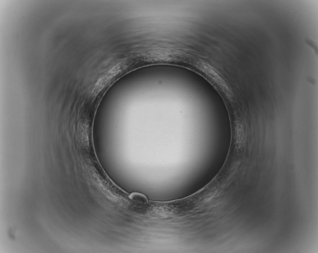 X0000101170489200807071225