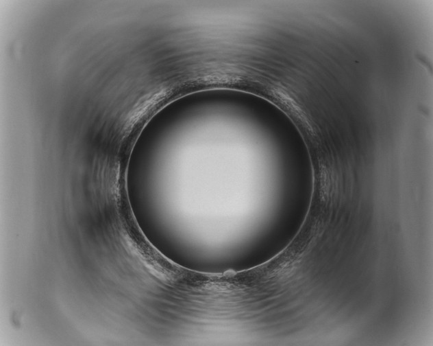 X0000101170490200807071225