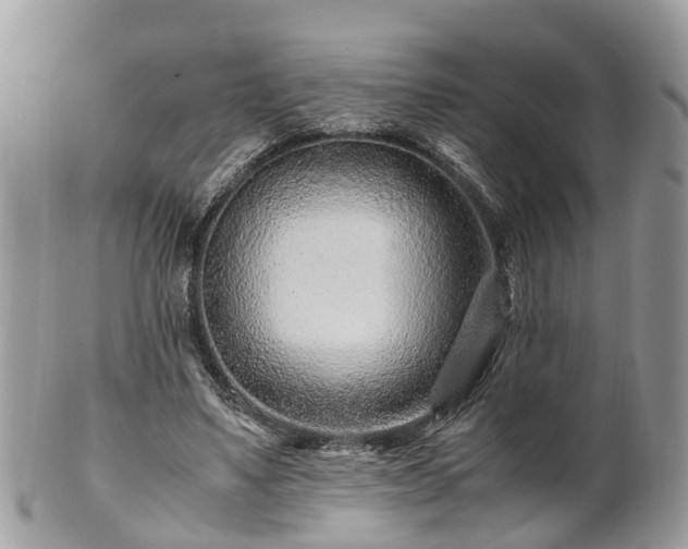 X0000101170491200807071225