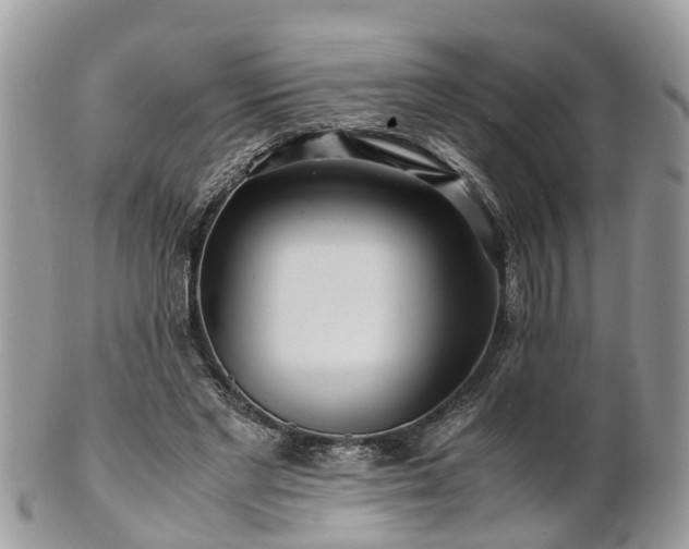 X0000101170493200807071225