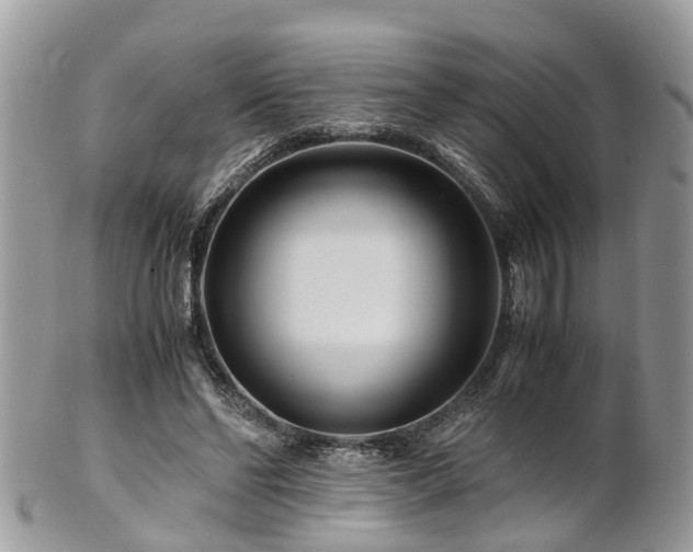 X0000101170494200807071225