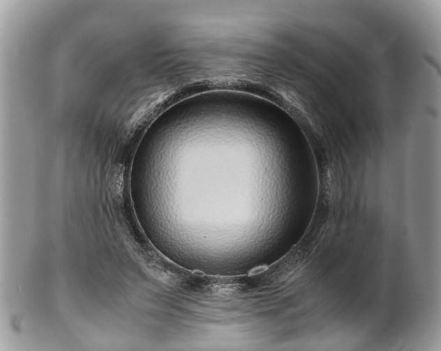 X0000101170495200807071225