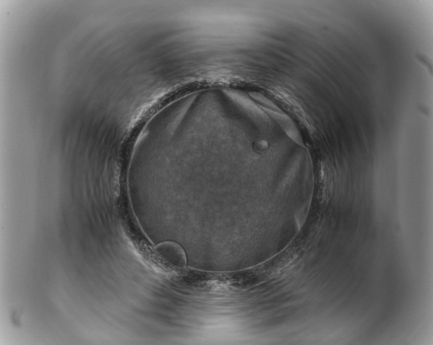 X0000101170496200807071225
